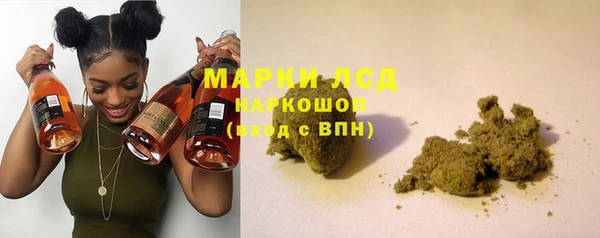 индика Каменка