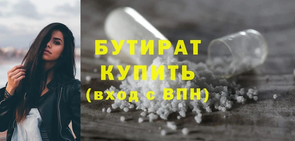 индика Каменка