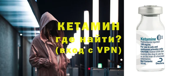 индика Каменка
