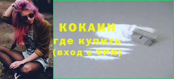 индика Каменка