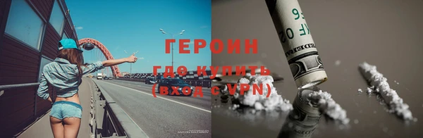 индика Каменка