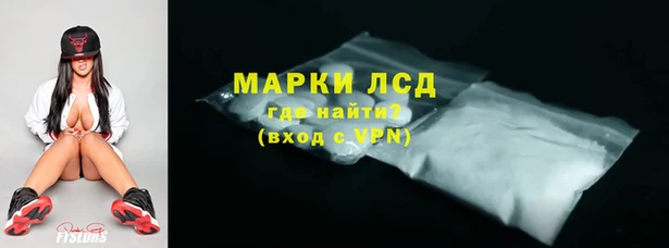 индика Каменка