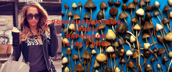 jwh Каменск-Шахтинский