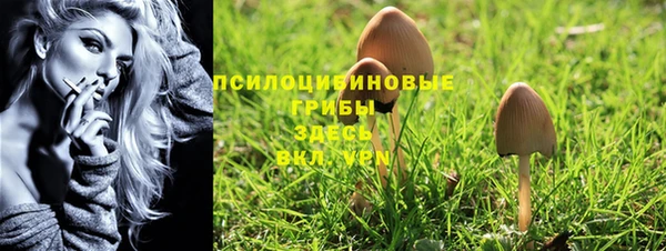 ALPHA PVP Каменногорск