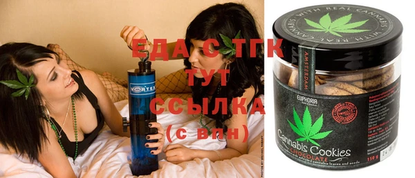 индика Каменка
