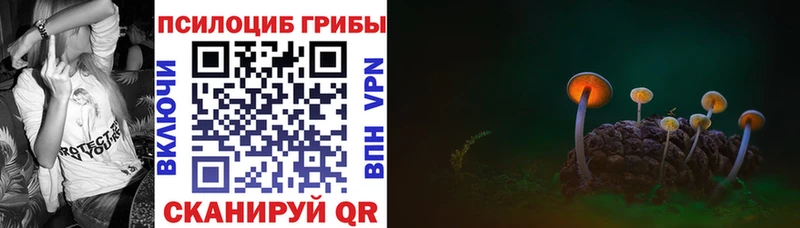 hydra онион  Сегежа  Галлюциногенные грибы Psilocybe 