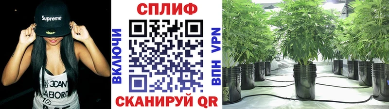 Каннабис тримм наркотики Сегежа
